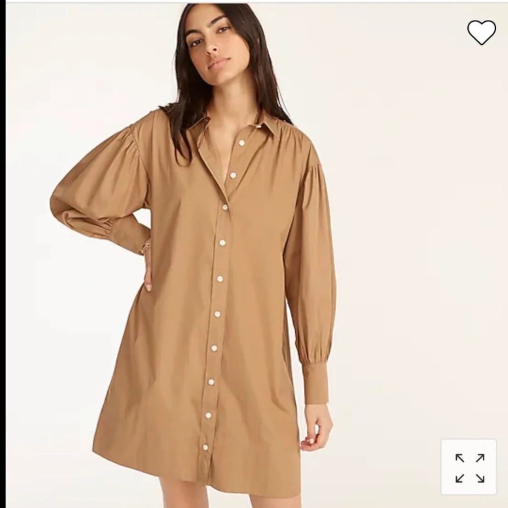 J. Crew Dress